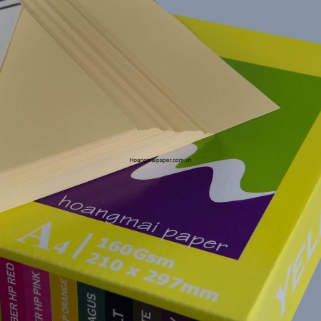 Bìa màu - Công Ty TNHH Sản Xuất Và Xuất Nhập Khẩu Hoàng Mai