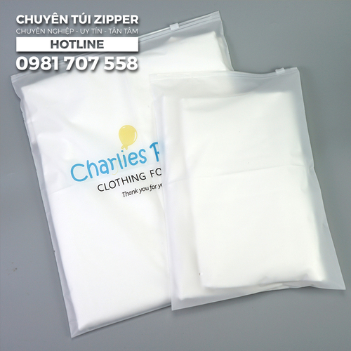 Túi zipper trong