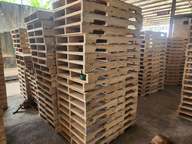 Pallet gỗ
