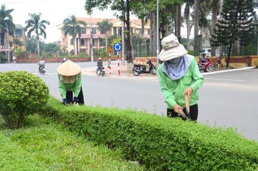 Dịch vụ chăm sóc cây xanh