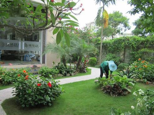 Dịch vụ thiết kế cảnh quan