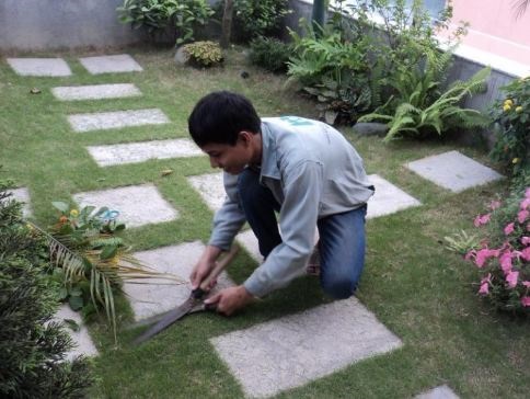 Dịch vụ thiết kế cảnh quan - Dịch Vụ Cây Xanh Hồ Chí Minh - Công Ty TNHH Vệ Sinh Cây Xanh Miền Nam