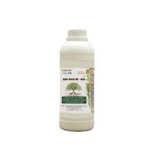 Siêu kích rễ GTS