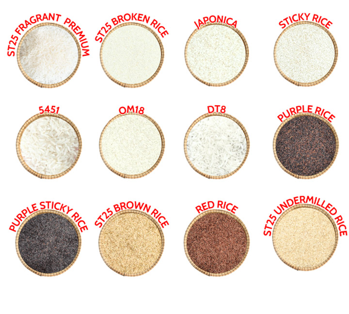 Gạo horeca xuất khẩu