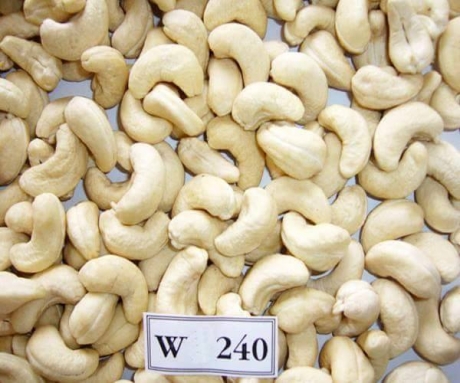 Hạt điều trắng