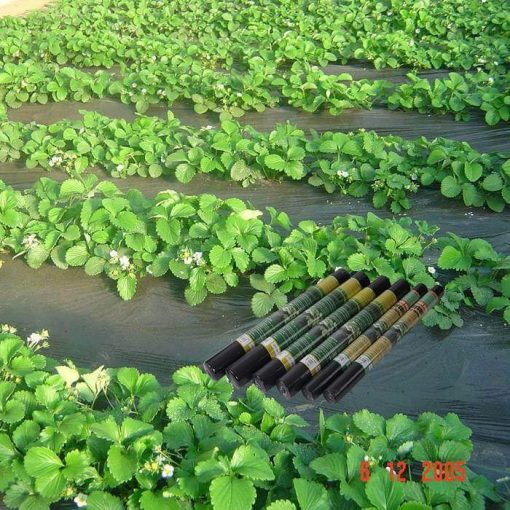 Vải không dệt cho nông nghiệp