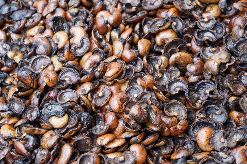 Bã vỏ điều - Viên Nén Gỗ, Viên Nén Trấu, Bã Điều An Nguyên Phát - Công Ty TNHH TM DV SX An Nguyên Phát