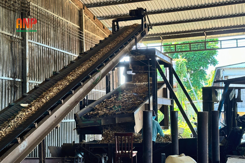 Củi trấu, viên nén gỗ, dăm gỗ, mùn cưa - Viên Nén Gỗ, Viên Nén Trấu, Bã Điều An Nguyên Phát - Công Ty TNHH TM DV SX An Nguyên Phát