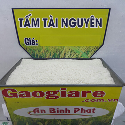 Gạo tấm Tài Nguyên - Gạo An Bình Phát - Công Ty TNHH Thương Mại Dịch Vụ An Bình Phát