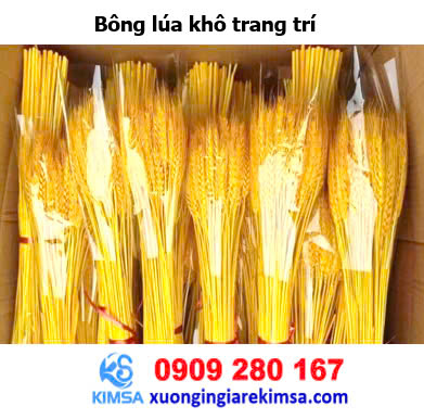 Bông lúa khô trang trí - Quà Tết, Phụ Kiện Trang Trí Tết Kim Sa  - Công Ty TNHH SXTM Kim Sa