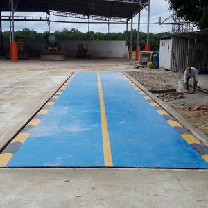 Cân điện tử kiểu chìm