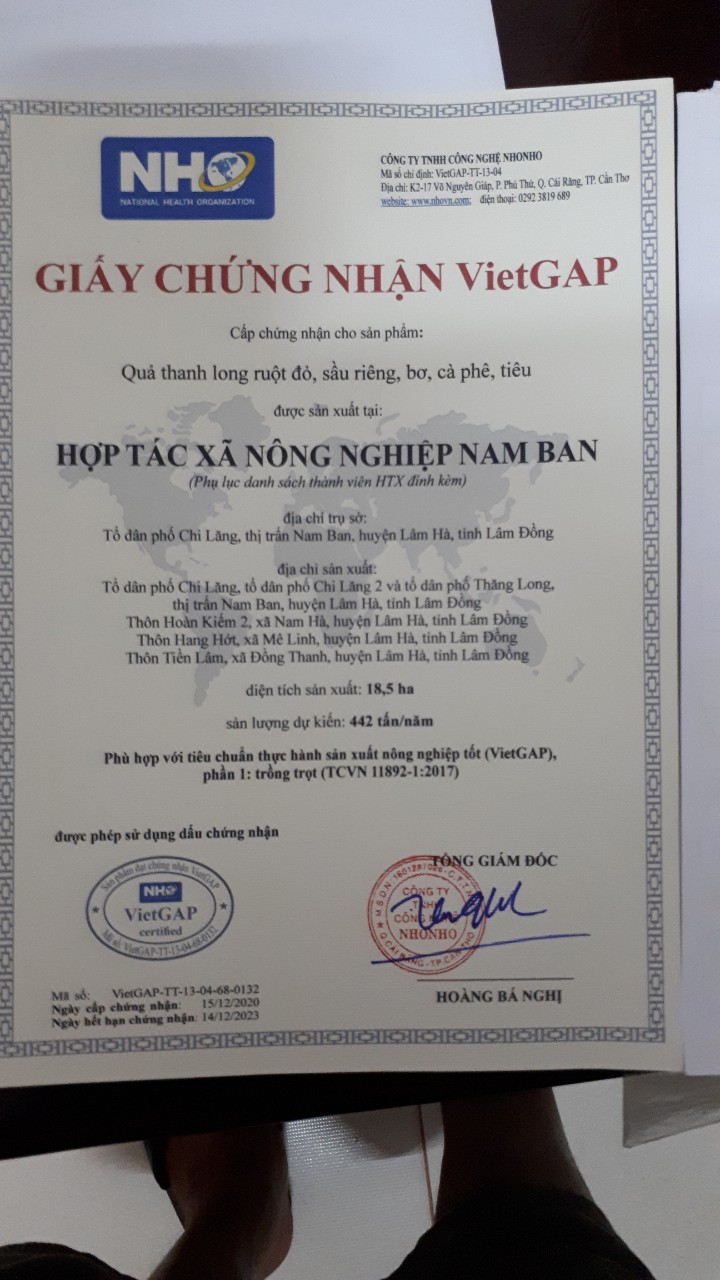 Chứng nhận VIETGAP - Hợp Tác Xã Nông Nghiệp Nam Ban