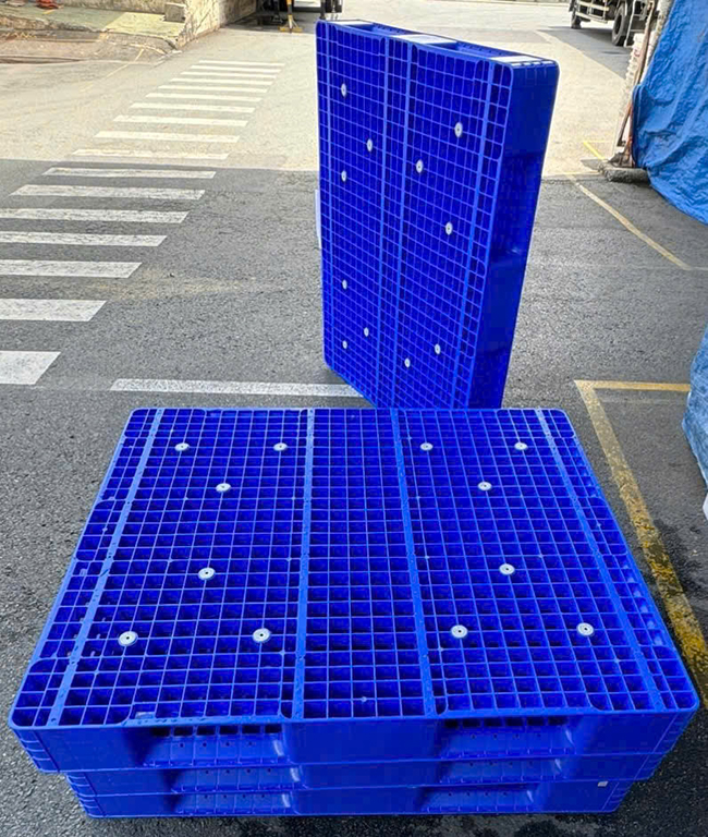 Pallet nhựa