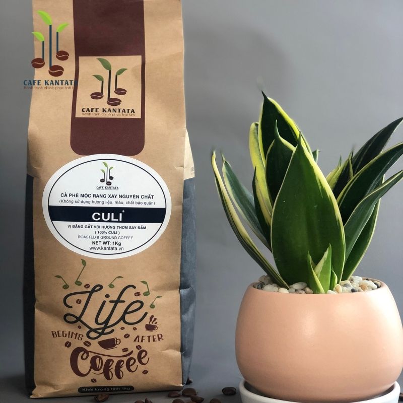 Cà phê Culi Buôn Mê Thuột - Công Ty Cổ Phần Cafe Kantata