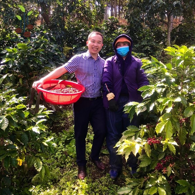 Cà phê Arabica Cầu Đất Đà Lạt - Công Ty Cổ Phần Cafe Kantata