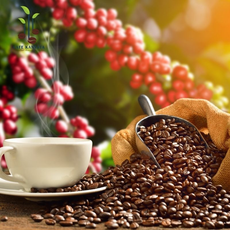 Cà phê hỗn hợp cao cấp Kantana - Công Ty Cổ Phần Cafe Kantata