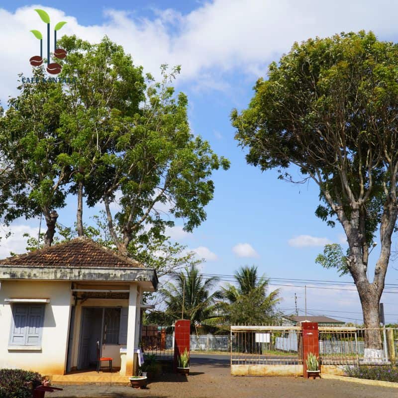 Cổng nông trường cà phê Buôn Mê Thuột - Công Ty Cổ Phần Cafe Kantata