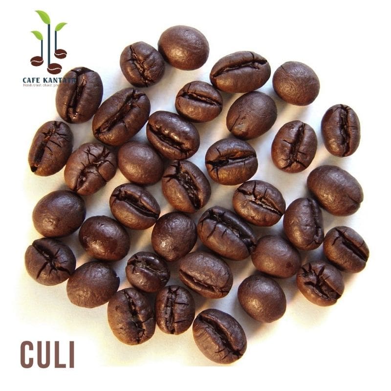 Culi Buôn Mê Thuột Kantana - Công Ty Cổ Phần Cafe Kantata