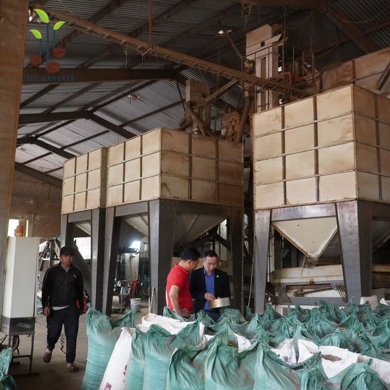 Nông trường cà phê Buôn Mê Thuột - Công Ty Cổ Phần Cafe Kantata