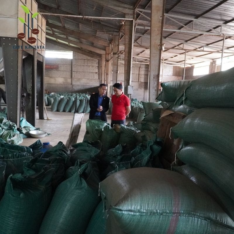 Cà phê Buôn Mê Thuột - Công Ty Cổ Phần Cafe Kantata