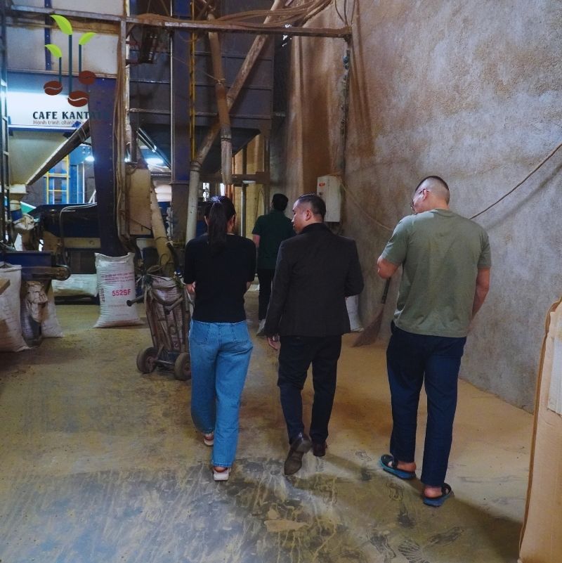 Cà phê Robusta nhà máy - Công Ty Cổ Phần Cafe Kantata