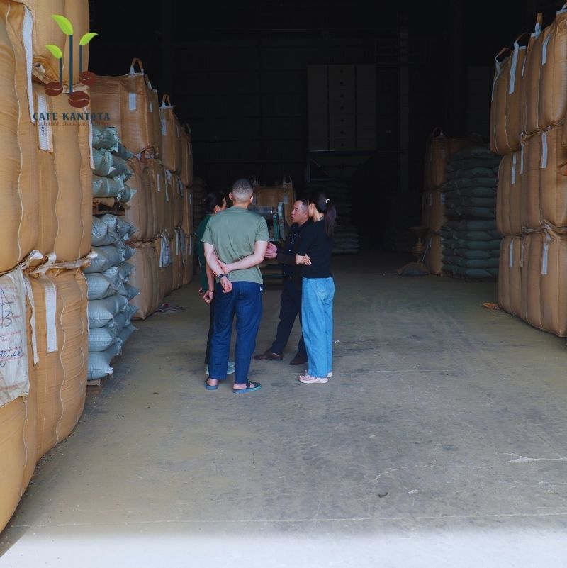 Cà phê Robusta nhãn xanh - Công Ty Cổ Phần Cafe Kantata