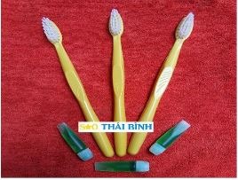 Bàn chải đánh răng - Đồ Dùng, Thiết Bị Khách Sạn Sao Thái Bình - Công Ty Cổ Phần Lục Quân