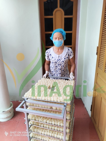 Xưởng sản xuất Vinagri Việt Nam
