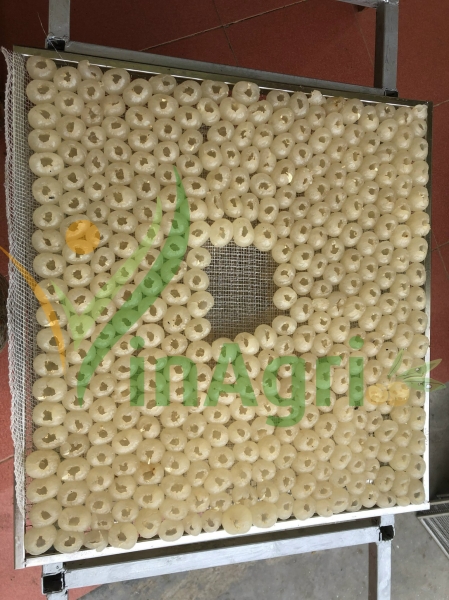 Xưởng sản xuất Vinagri Việt Nam