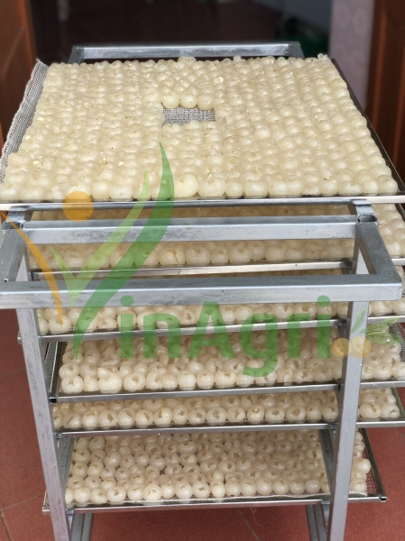 Xưởng sản xuất Vinagri Việt Nam