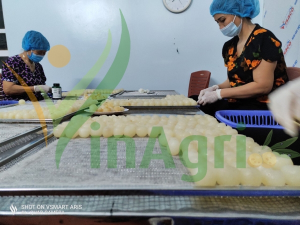 Xưởng sản xuất Vinagri Việt Nam