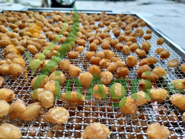 Xưởng sản xuất Vinagri Việt Nam