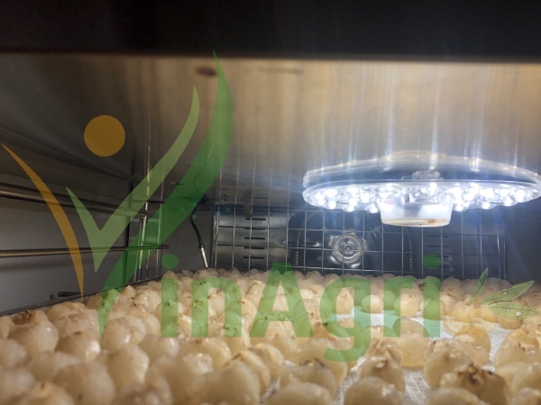 Xưởng sản xuất Vinagri Việt Nam