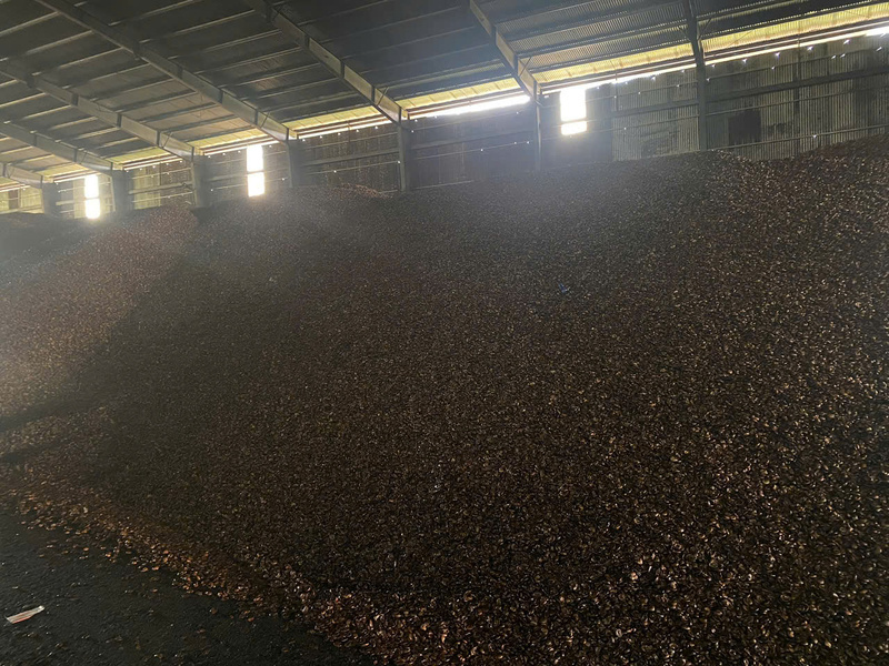 Bã vỏ hạt điều