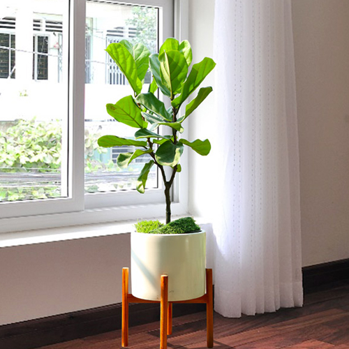 Chi Nhánh Long An – Công Ty TNHH Dịch Vụ VINAXANH