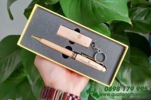 Giftset – bộ quà tặng (USB + bút kim loại)