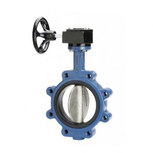 Van bướm tay gạt inox