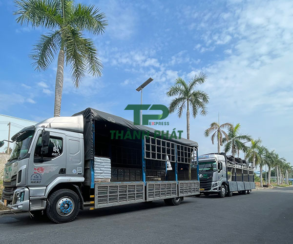 Dịch vụ vận chuyển hàng hóa Bắc Nam - Vận Tải Thành Phát Express - Công Ty TNHH TMDV Vận Tải Thành Phát Express