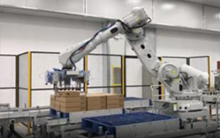 Robot xếp pallet - Giải Pháp Tự Động Hóa AFM Việt Nam - Công Ty Cổ Phần Tự Động Hóa AFM Việt Nam