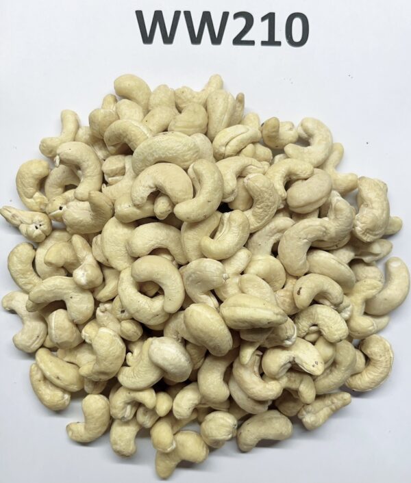Hạt điều WW210 - Hạt Điều SVC - Công Ty Cổ Phần Quốc Tế SVC