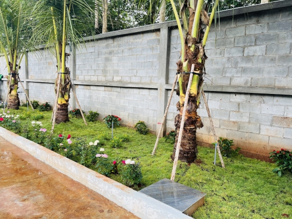  - Hạt Điều SVC - Công Ty Cổ Phần Quốc Tế SVC