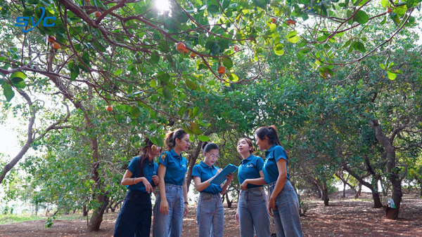 Hình ảnh nhân công, kho hàng SVC