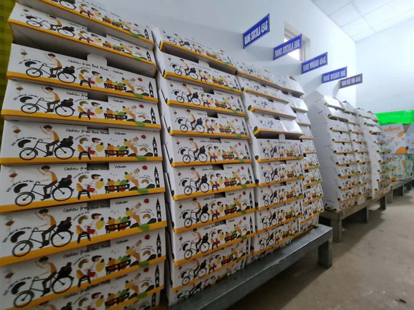 Công ty Hạt Điều Vàng