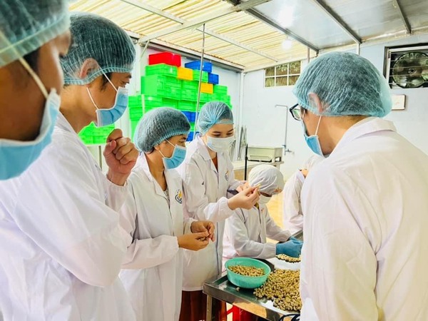 Công ty Hạt Điều Vàng