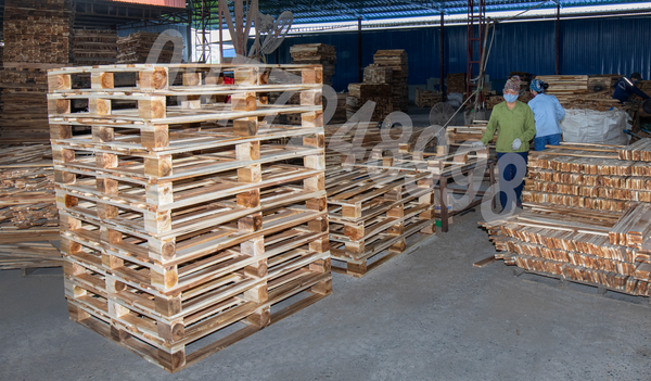 Hình ảnh xưởng sản xuất BNG - Pallet Gỗ BNG - Công Ty TNHH XNK BNG