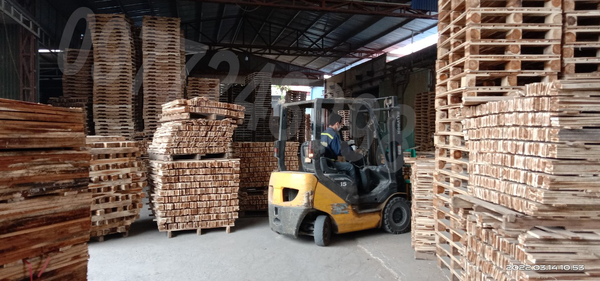 Hình ảnh xưởng sản xuất BNG - Pallet Gỗ BNG - Công Ty TNHH XNK BNG