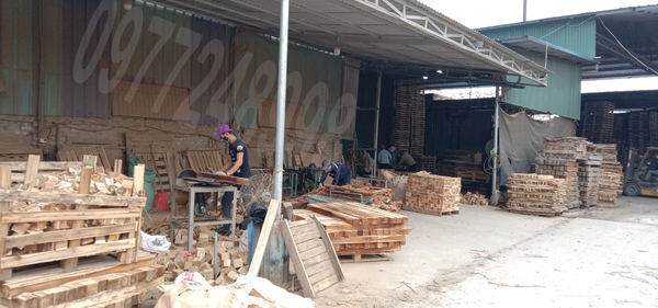 Hình ảnh xưởng sản xuất BNG - Pallet Gỗ BNG - Công Ty TNHH XNK BNG