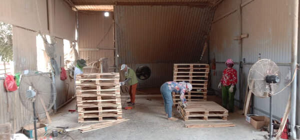 Hình ảnh xưởng sản xuất BNG - Pallet Gỗ BNG - Công Ty TNHH XNK BNG