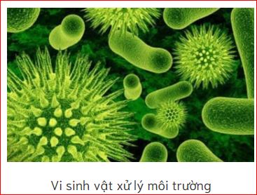 Công Ty Cổ Phần Dầu Khí Hồng Hà
