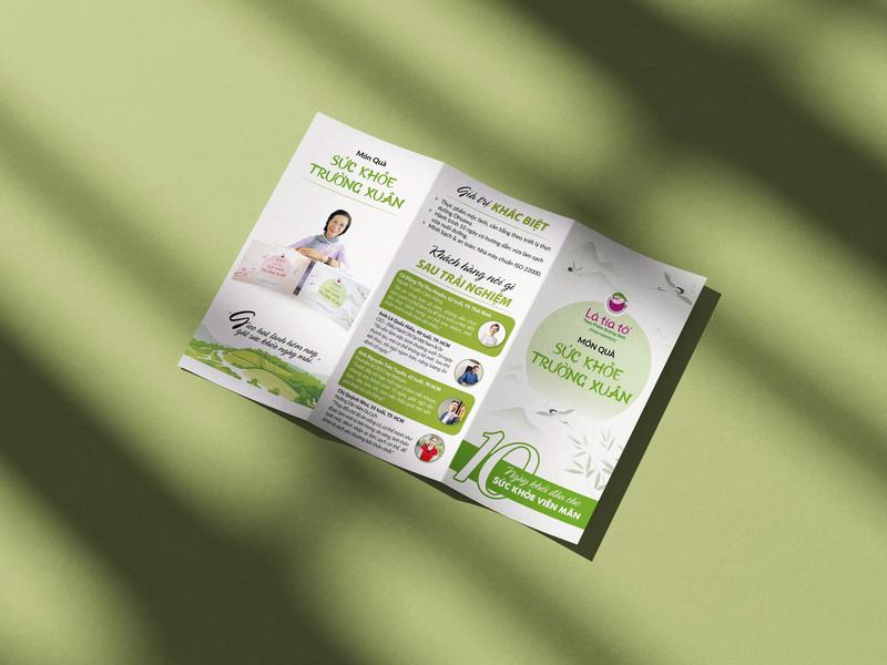 In Brochure